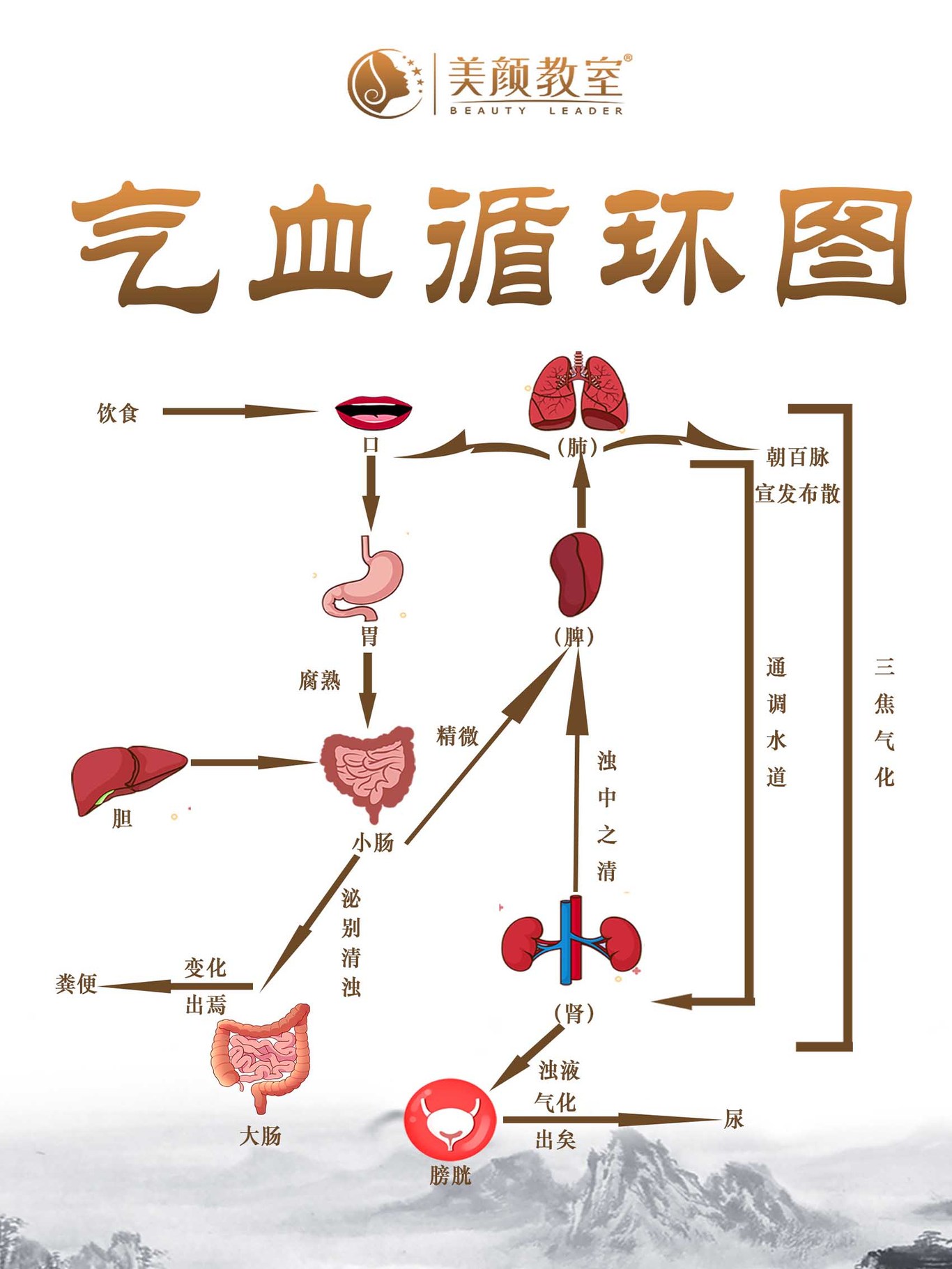 美容养生项目图图5