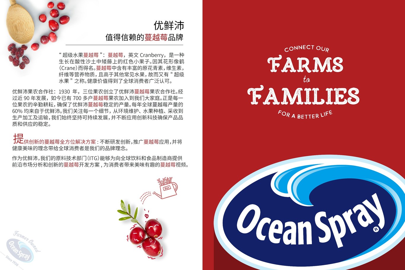 OceanSpray蔓越莓菜谱宣传折页图4