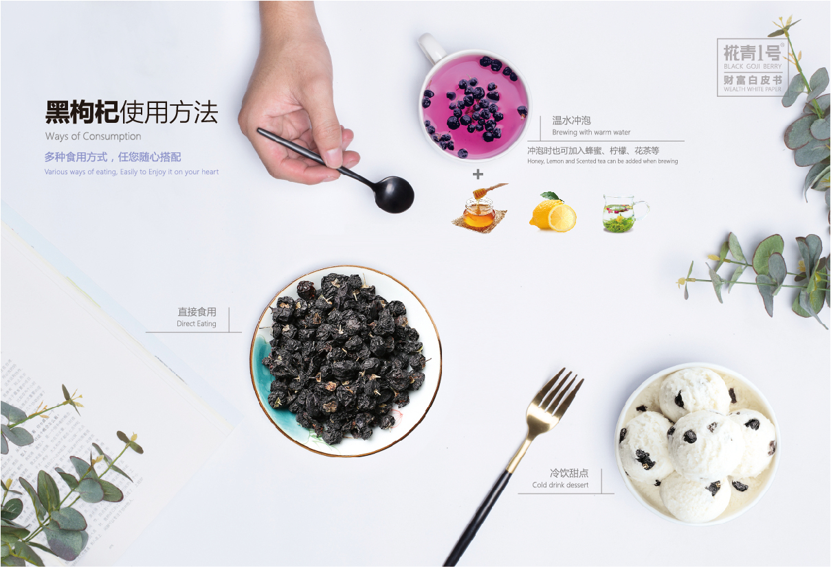 黑枸杞画册设计图13