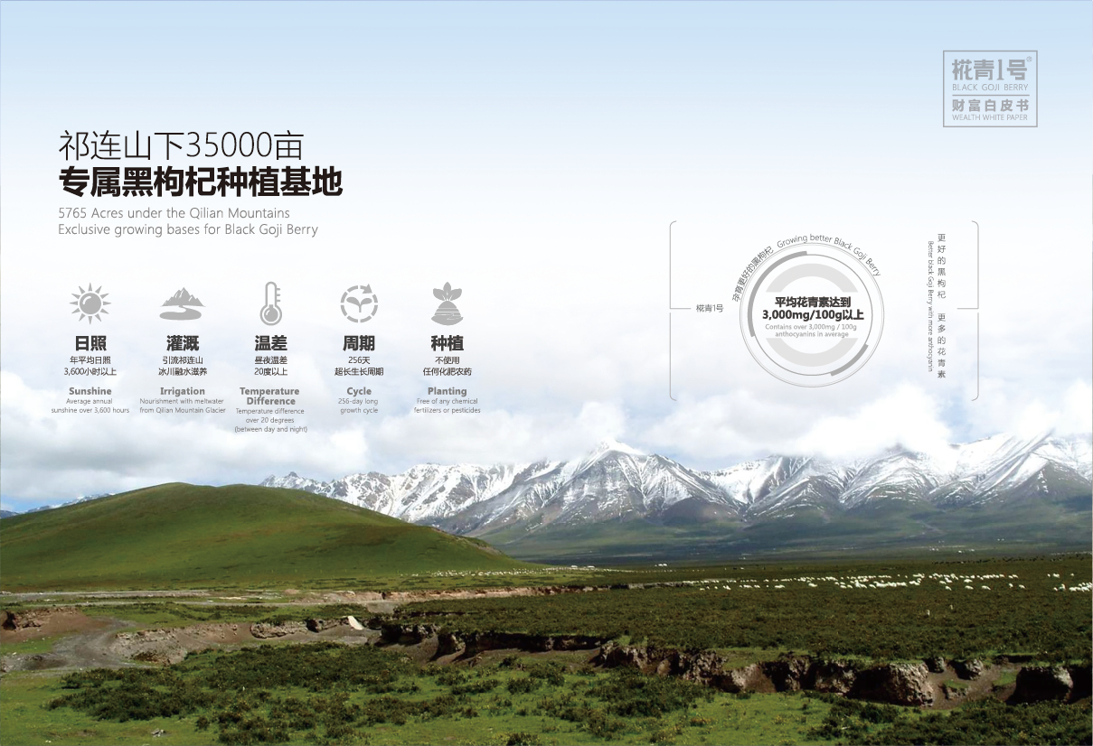 黑枸杞画册设计图5