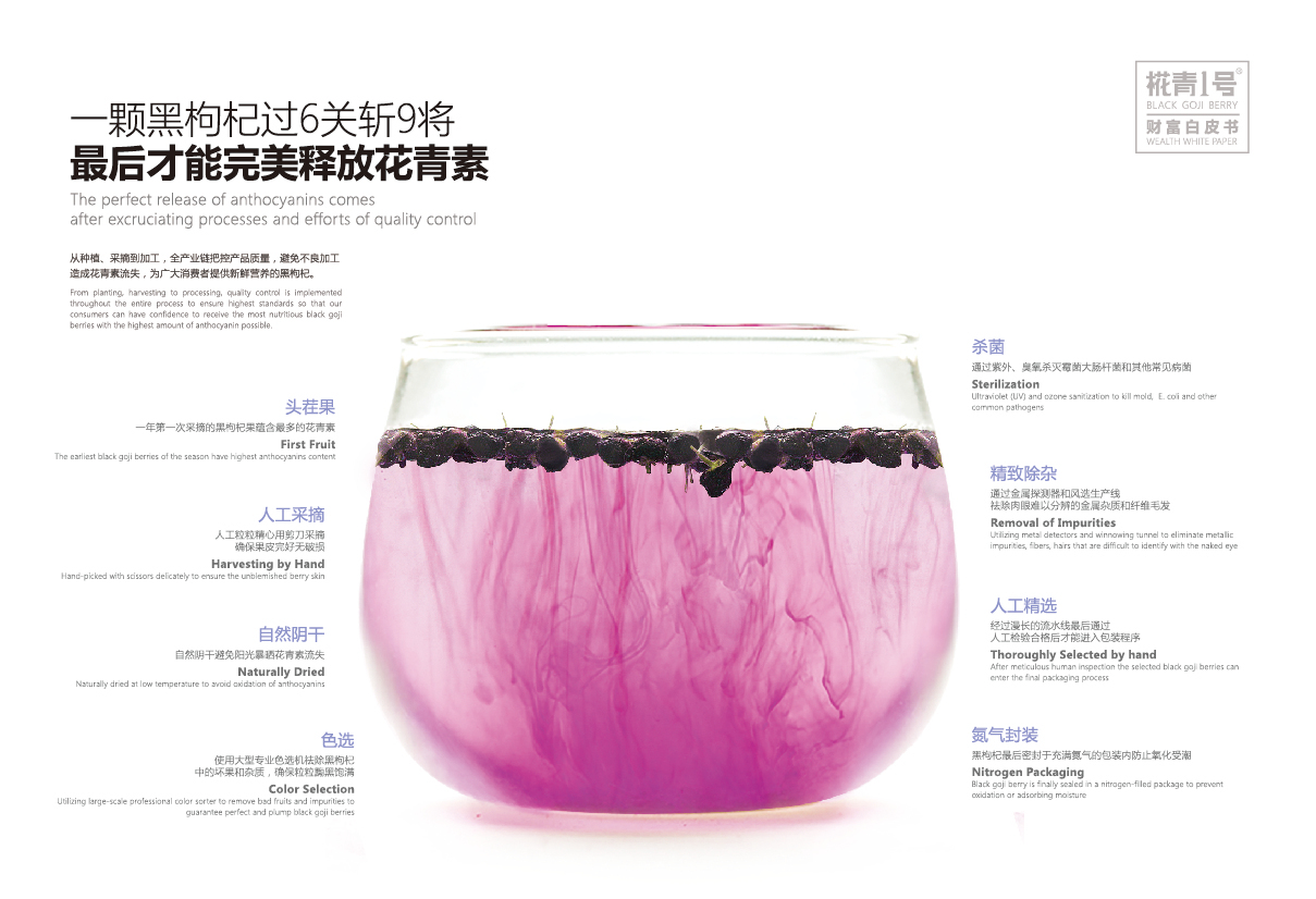 黑枸杞画册设计图7