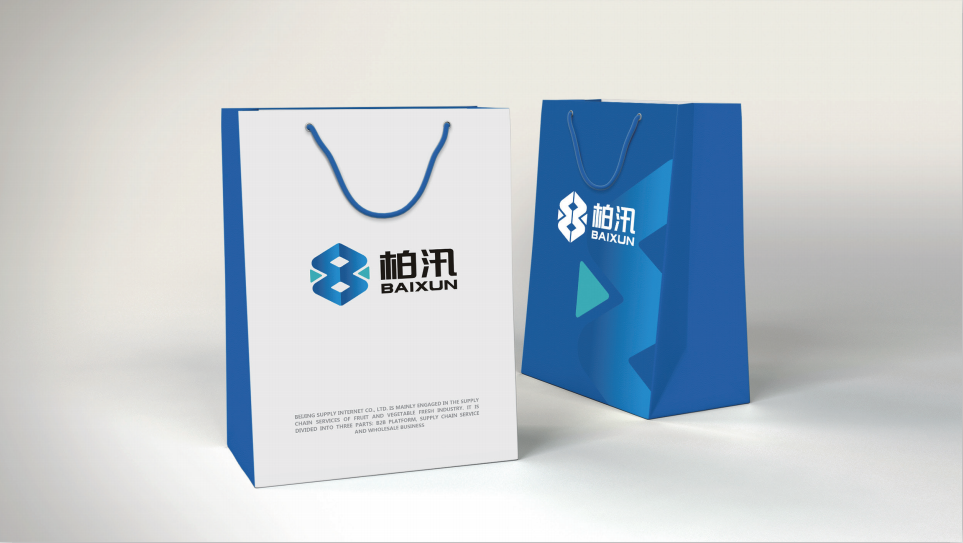 江西柏汛實業(yè)有限公司LOGO設計中標圖2