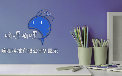 福州市嘀哩科技有限公司-嘀哩嘀哩企業(yè)LOGO-VI展示