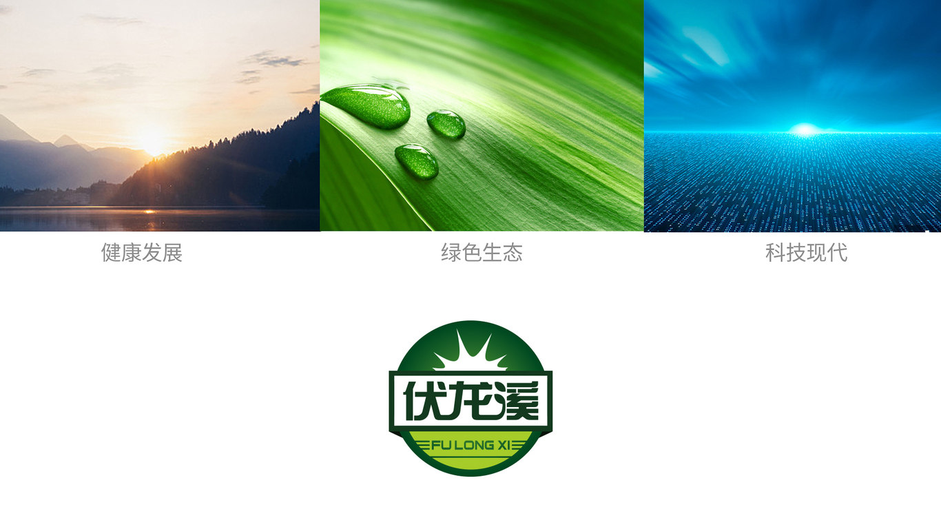 伏龍溪科技生物公司LOGO設(shè)計中標圖1