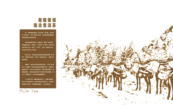 茶行业画册设计