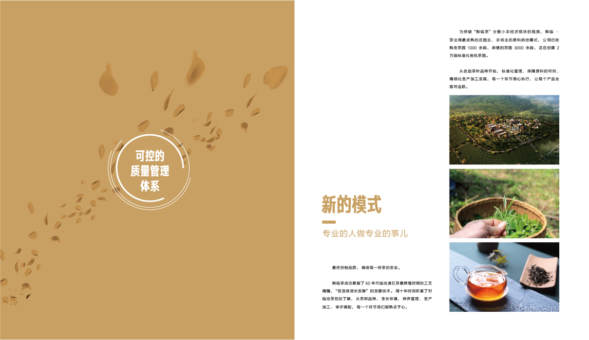 茶行业画册设计图5