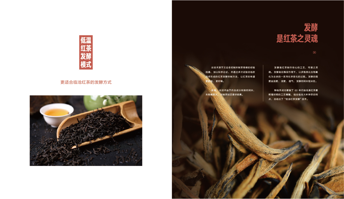 茶行业画册设计图6