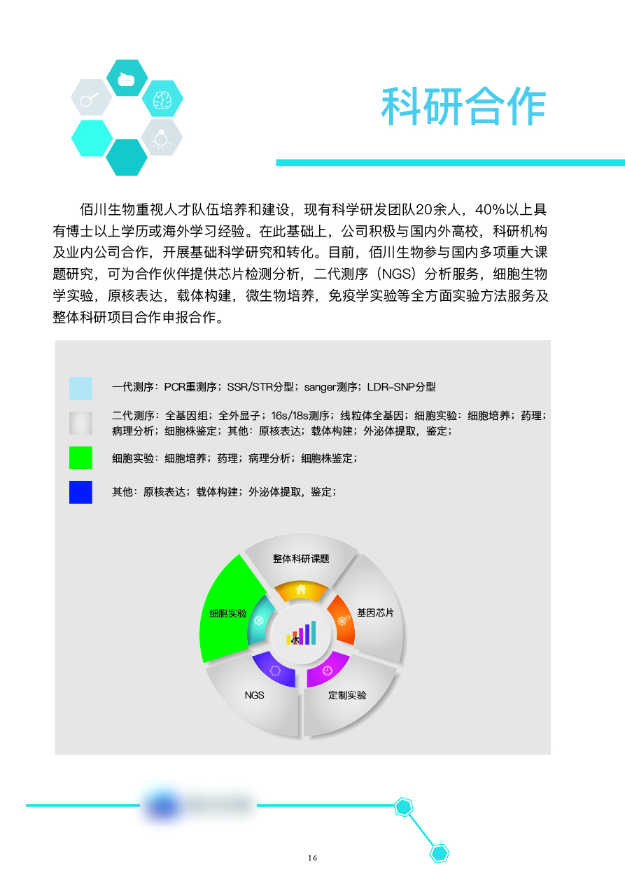 图册和宣传汇总图17