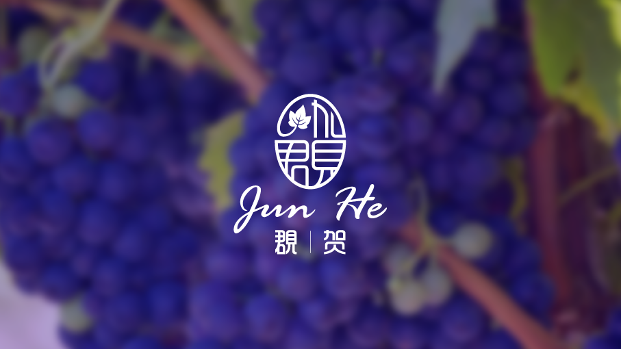 覠賀國產(chǎn)紅酒品牌LOGO設(shè)計(jì)中標(biāo)圖0