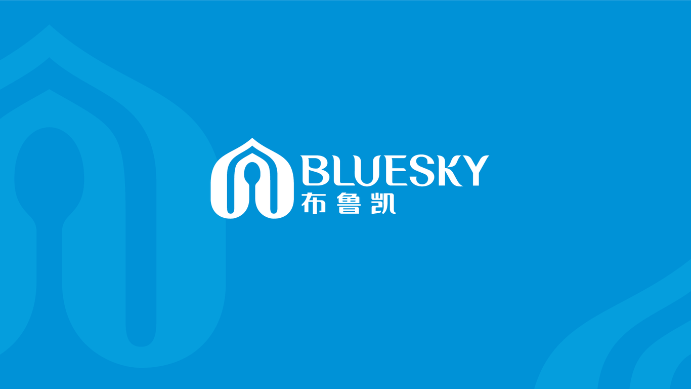 Bluesky布魯凱廚房用品品牌LOGO設(shè)計(jì)中標(biāo)圖15