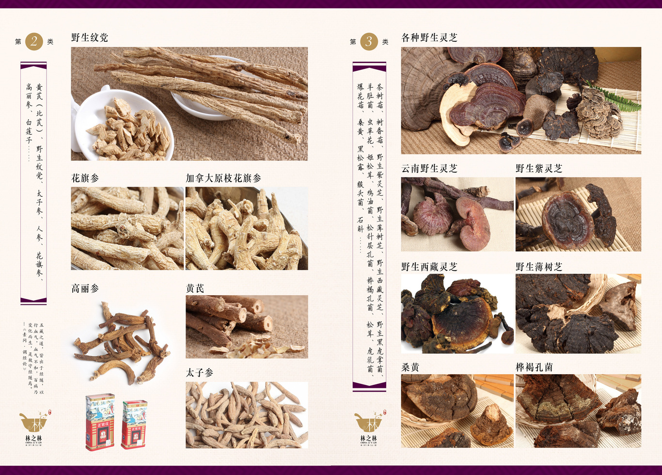 林之林食療養(yǎng)生堂宣傳畫冊(cè)和特價(jià)宣傳單圖1