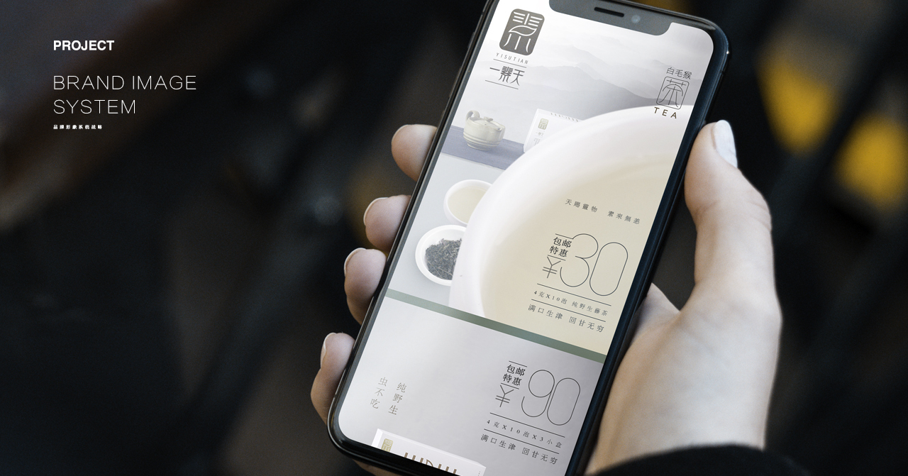 一素天茶葉品牌整合設(shè)計(jì)圖3
