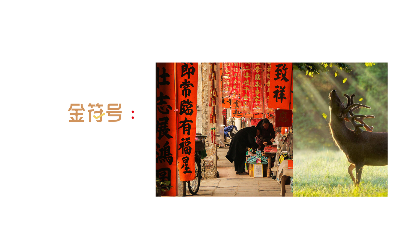 东盈门杂粮品牌全案设计图5