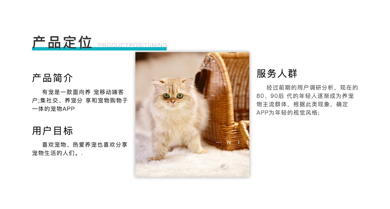 作品集图5