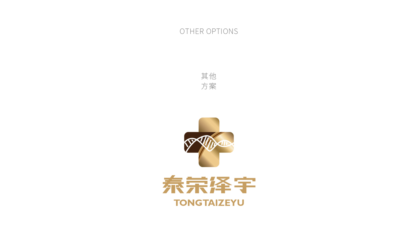 泰荣泽宇logo设计/生物科技logo设计/大健康logo设计图4