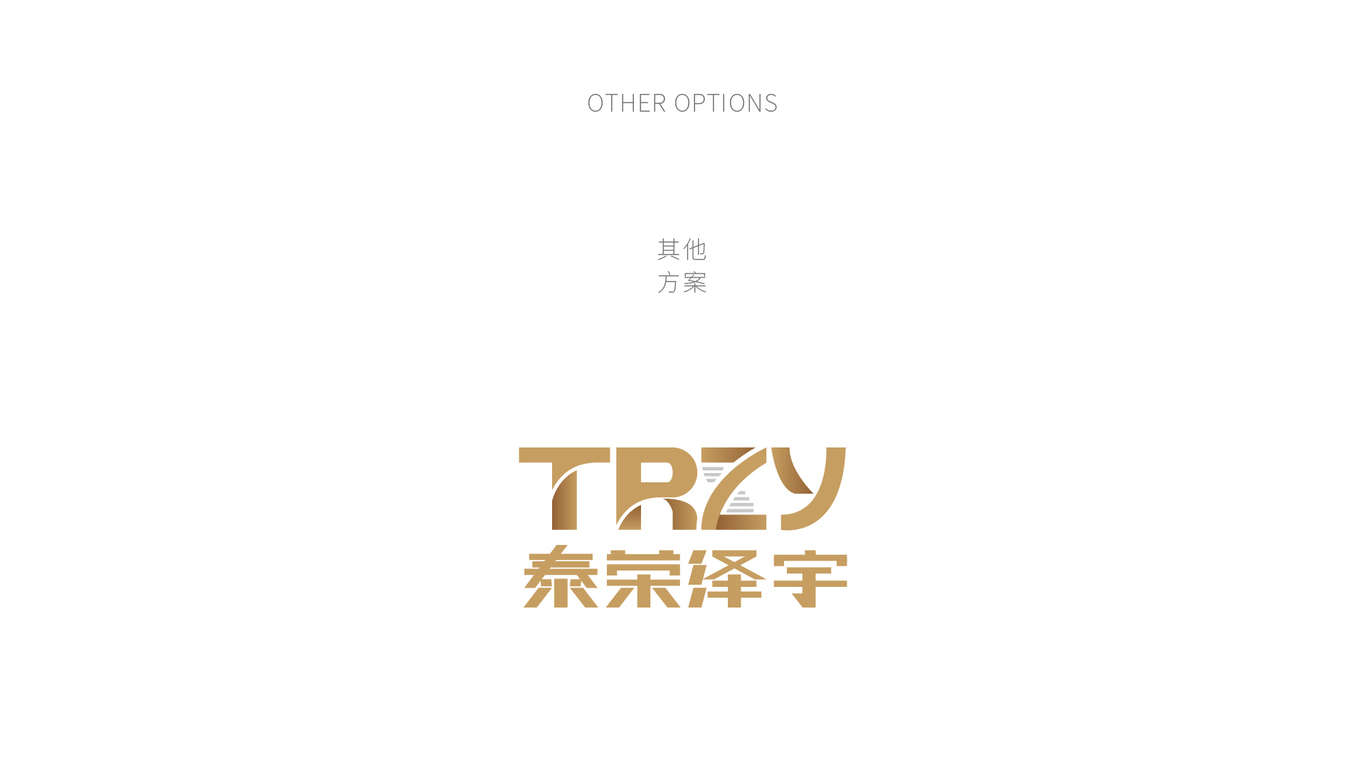 泰荣泽宇logo设计/生物科技logo设计/大健康logo设计图2