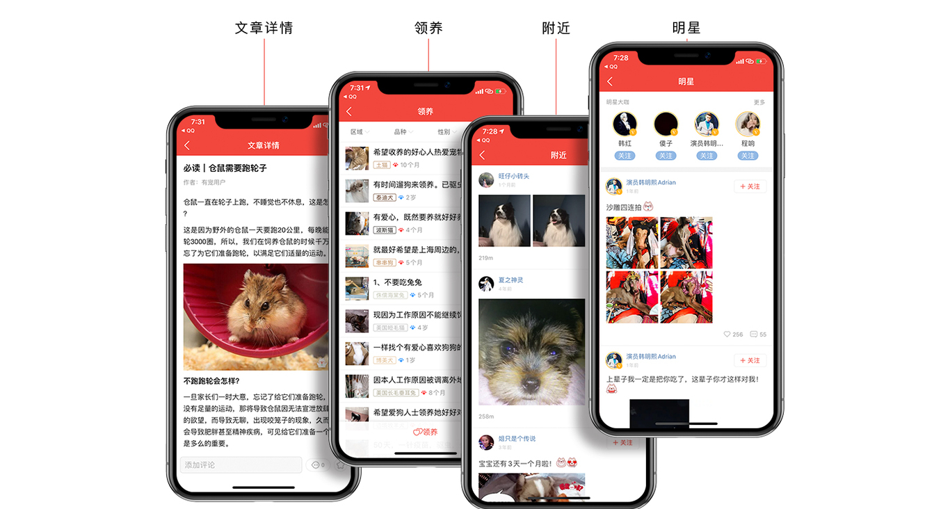 作品集图14