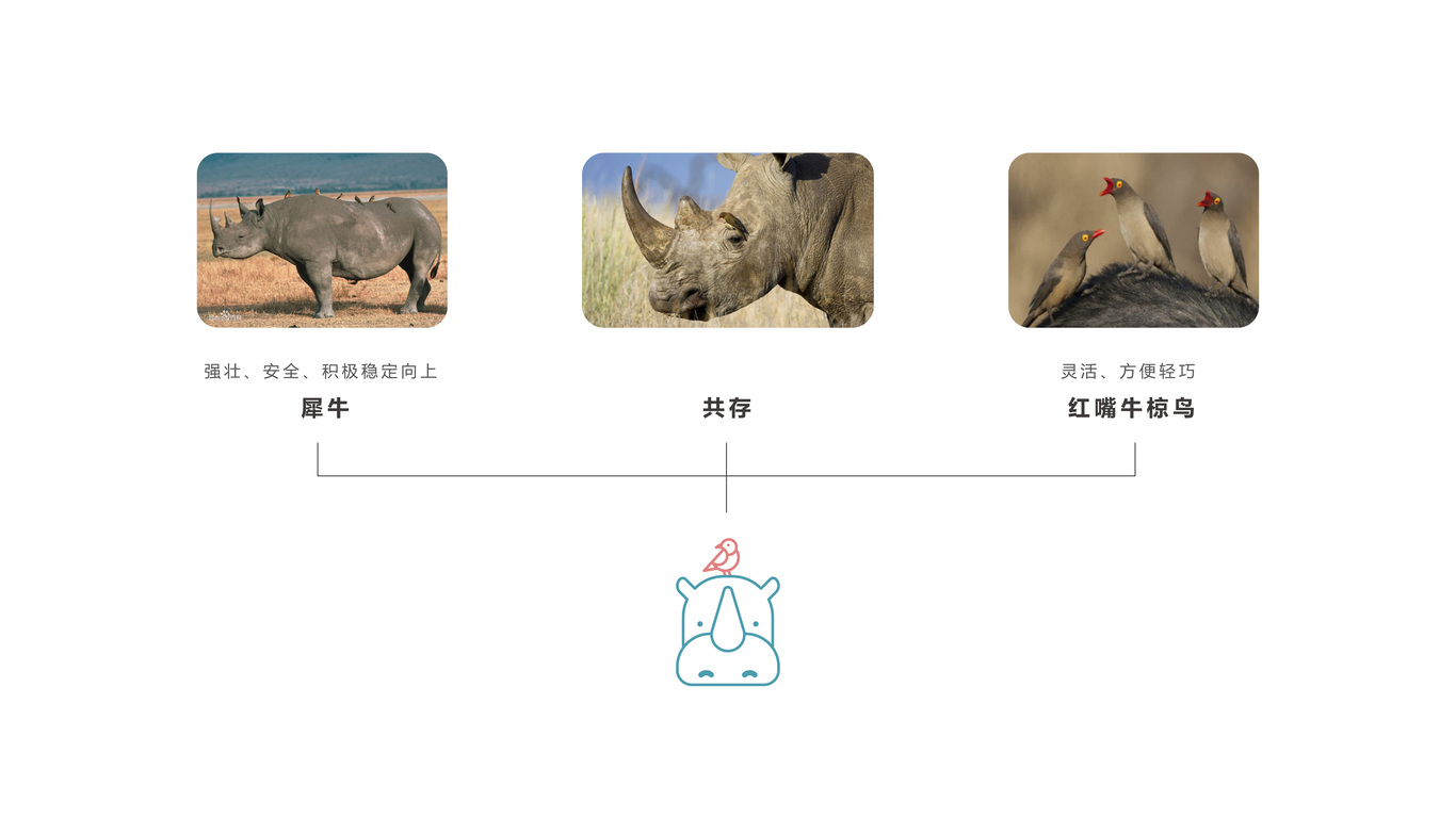 红喙益生菌品牌VI设计图3