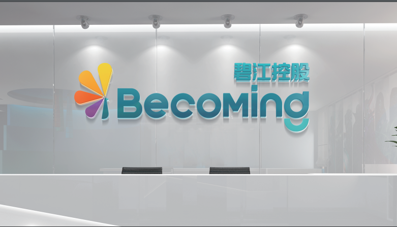 碧江资本控股公司LOGO设计中标图1