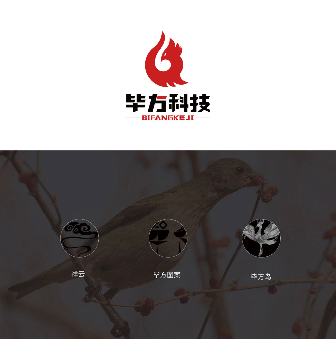 LOGO设计：毕方科技图2