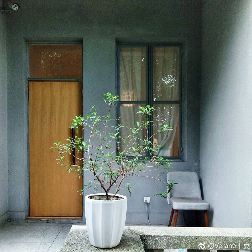 VERANO 藝術空間設計圖1
