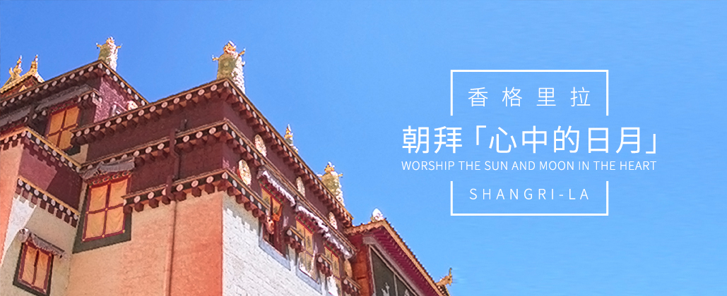banner图10