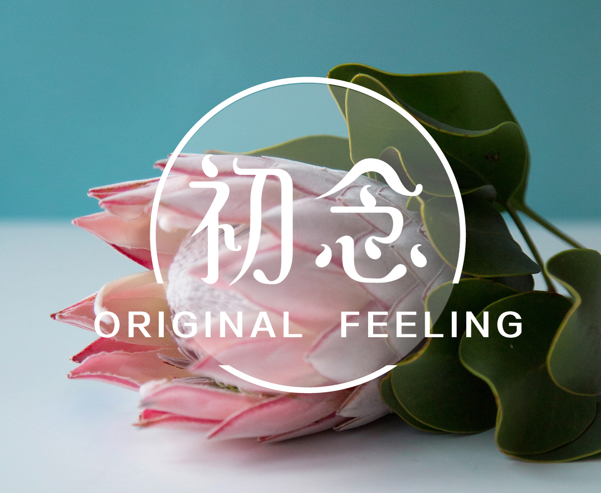 品牌VI设计——花念图1