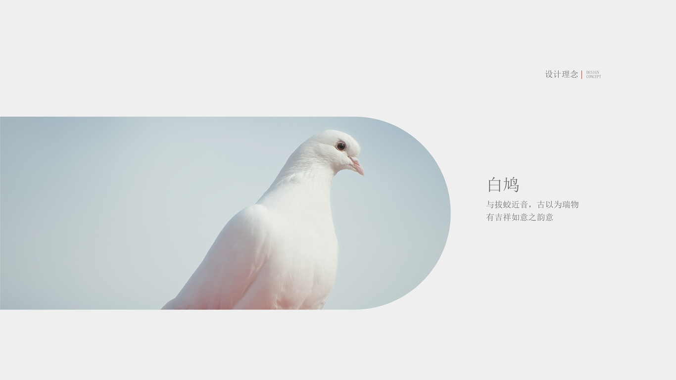 東莞拔姣窩社區徽標圖0