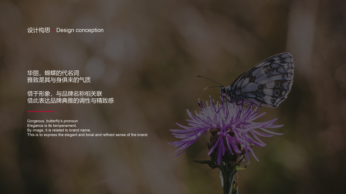 蝴兰人餐饮徽标图0