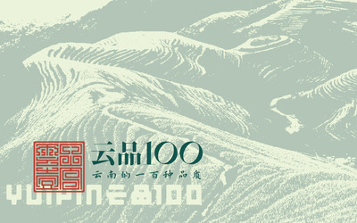 云品100網(wǎng)絡(luò)銷售平臺(tái)品牌設(shè)計(jì)