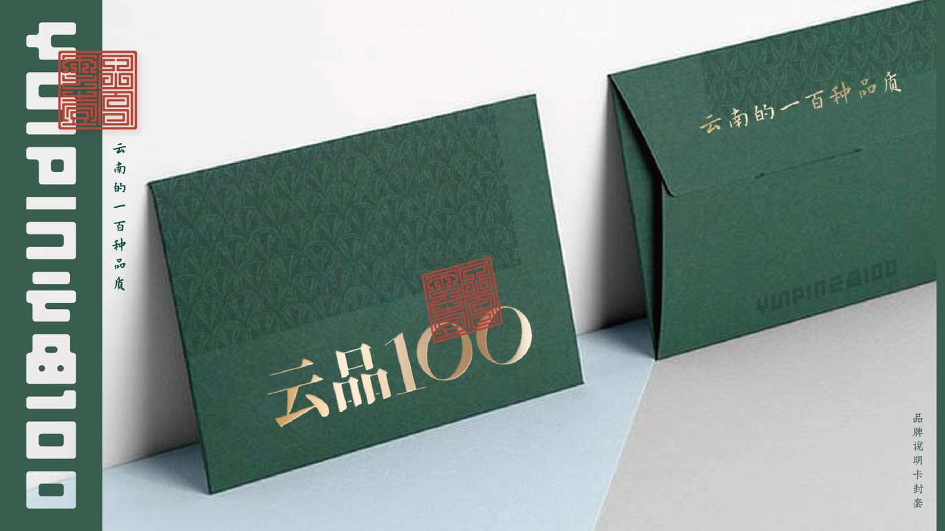 云品100網(wǎng)絡(luò)銷售平臺(tái)品牌設(shè)計(jì)圖3