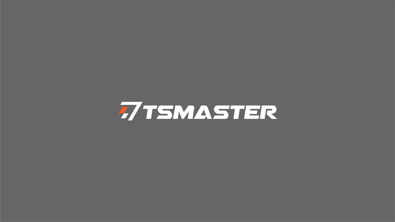 TSMaster系統(tǒng)軟件品牌LOGO設計中標圖0