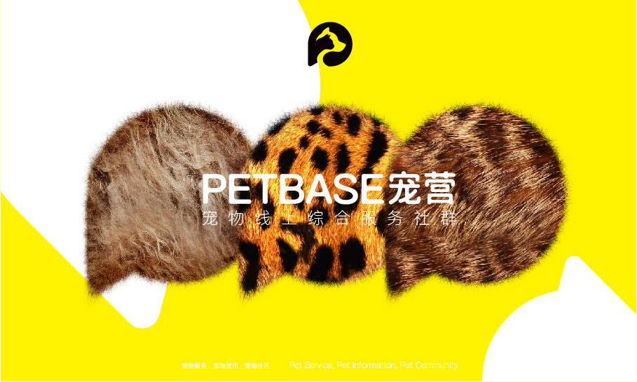 PETBASE寵營(yíng)-寵物線上綜合服務(wù)社群-品牌設(shè)計(jì)圖2