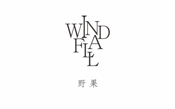 windfall野果logo設(shè)計(jì)