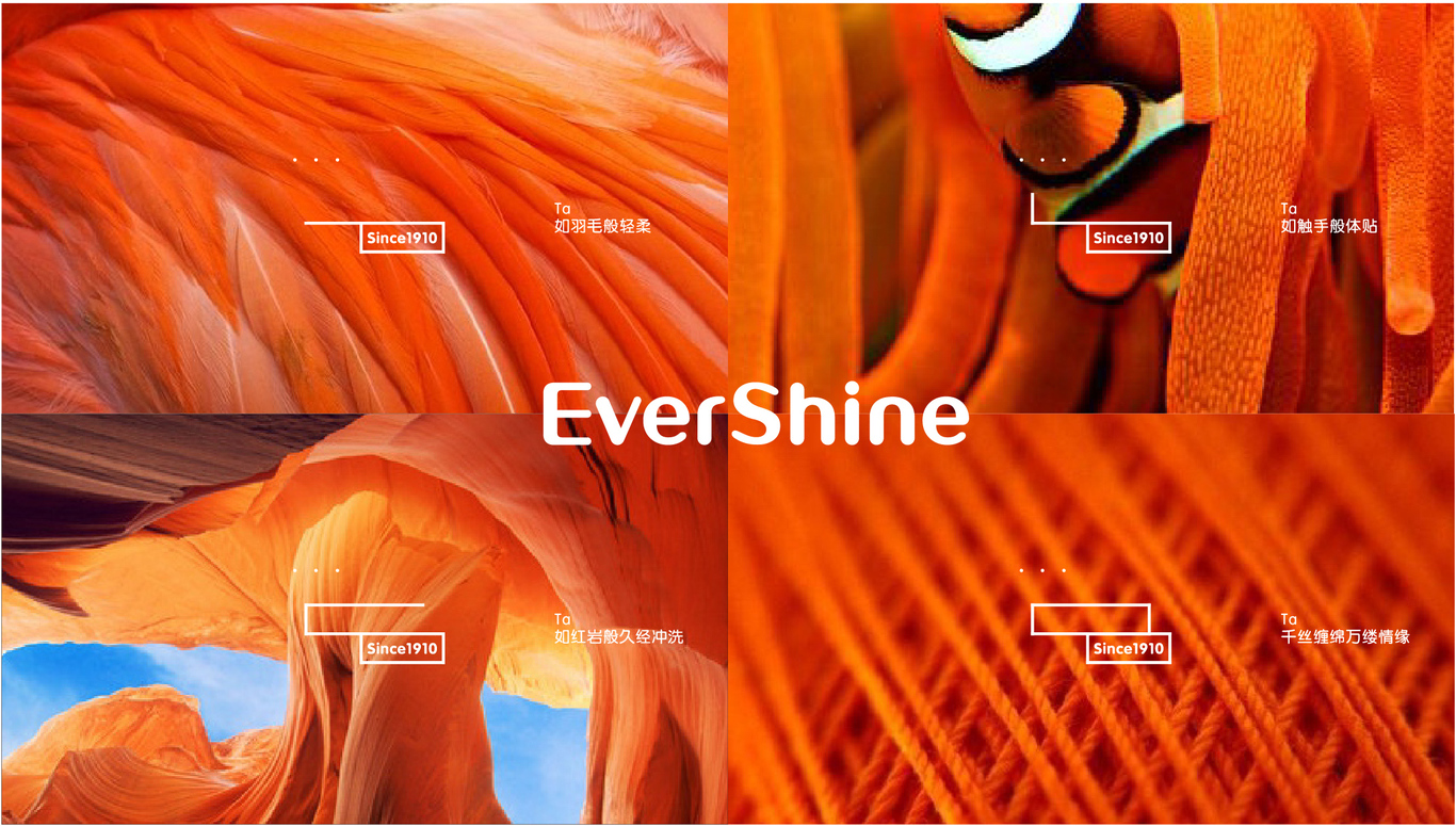 evershine 毛巾 logo/vi圖1