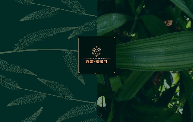 紫金府VI设计图4