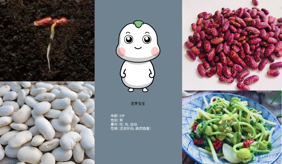 扎明娜健康蕓豆人品牌吉祥物設(shè)計(jì)中標(biāo)圖0