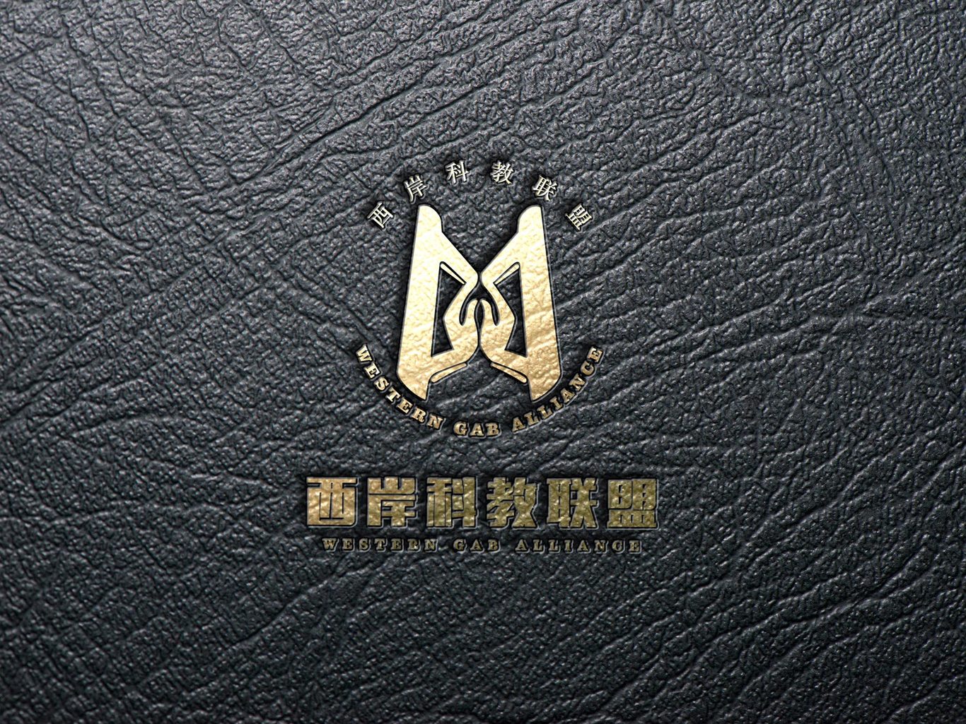 粤港澳大湾区西岸科技创新和人才培养合作联盟logo设计图6