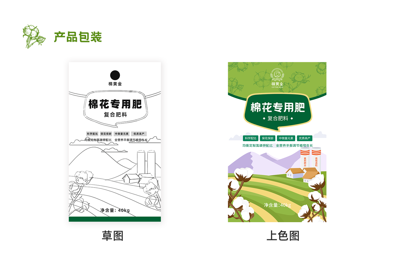 棉黄金包装插画设计图3