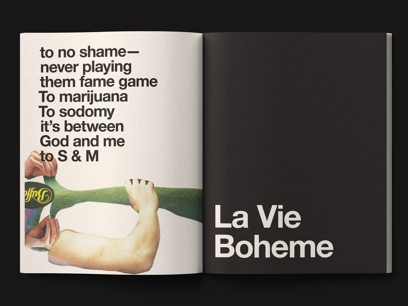 La Vie Boheme 書籍設(shè)計圖13