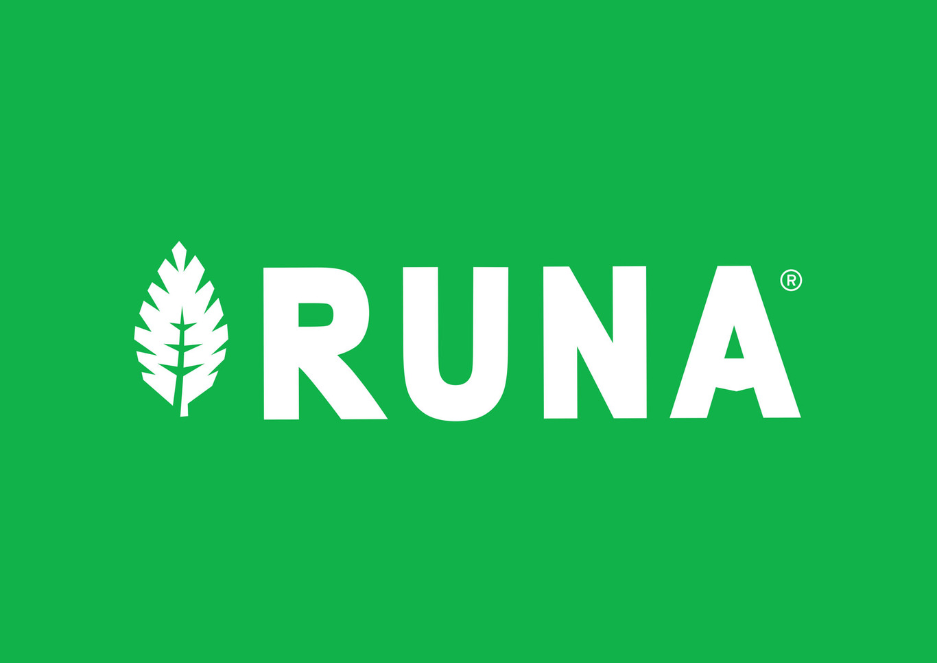 RUNA Clean Energy 品牌形象和包裝設(shè)計(jì)圖0