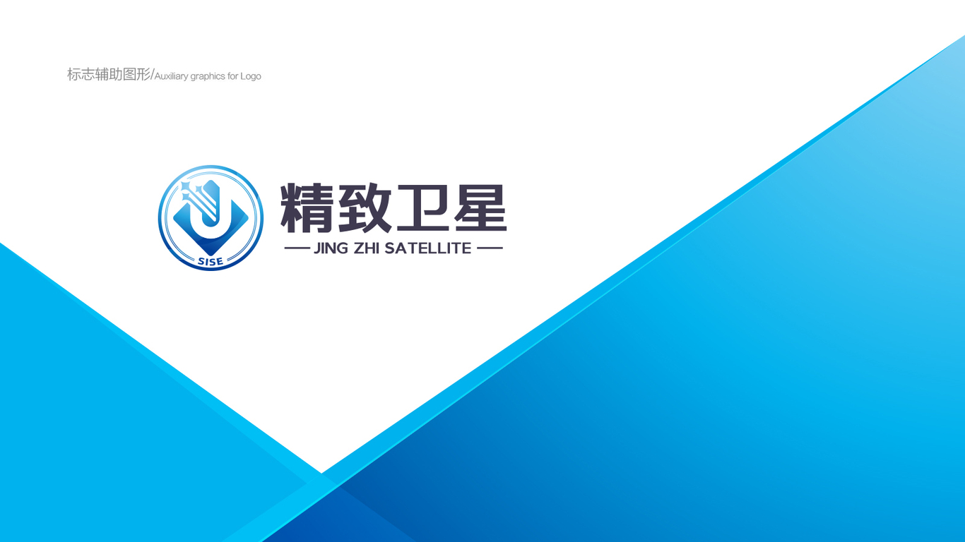 精致衛(wèi)星公司LOGO設計中標圖0