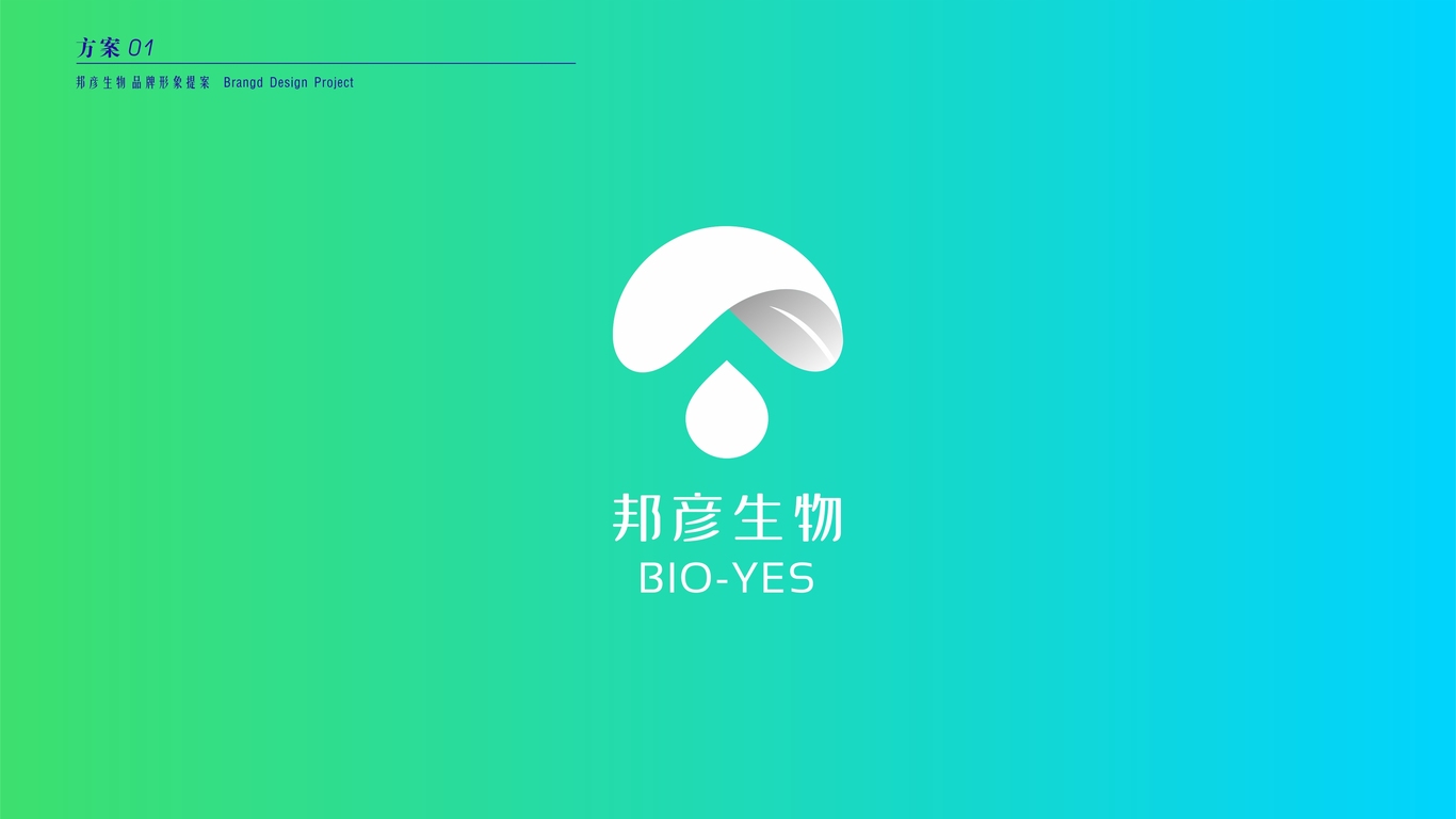 邦彥生物品牌LOGO設(shè)計(jì)中標(biāo)圖0