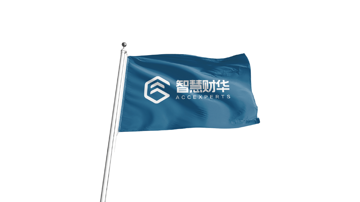 智慧财华财务咨询机构logo设计图11