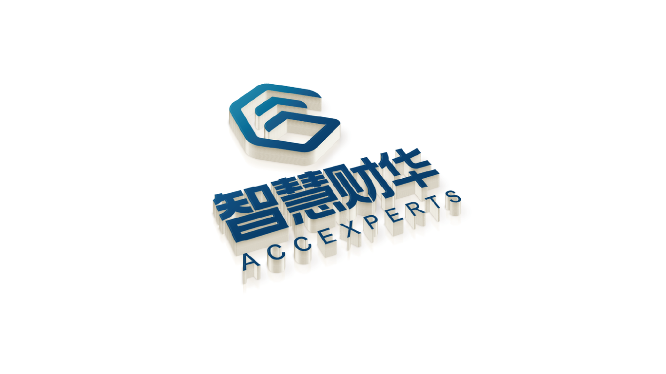 智慧财华财务咨询机构logo设计图10