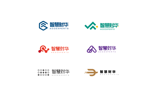 智慧財(cái)華財(cái)務(wù)咨詢機(jī)構(gòu)logo設(shè)計(jì)