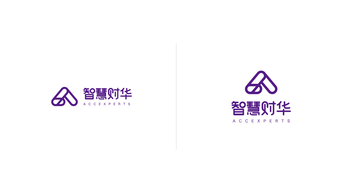 智慧财华财务咨询机构logo设计图46