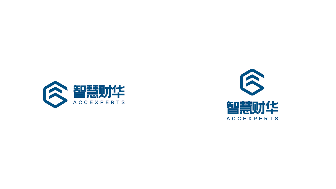 智慧财华财务咨询机构logo设计图4