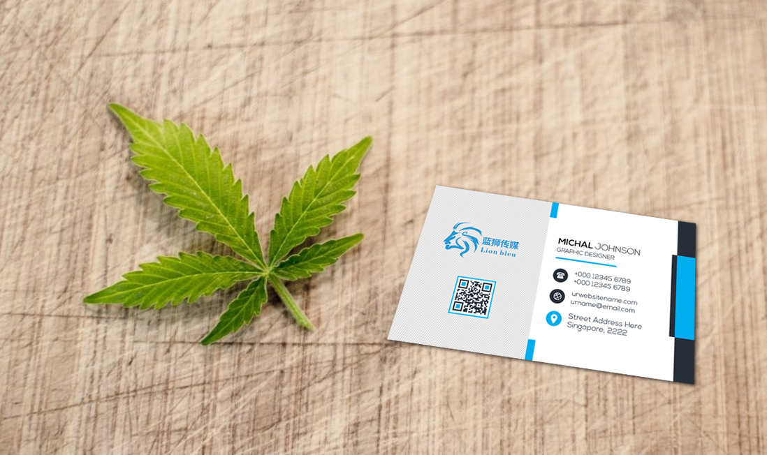 蓝狮娱乐传媒LOGO设计图2