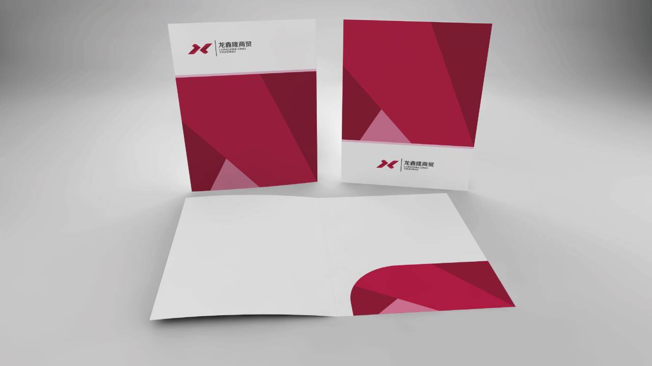 龙鑫商贸logo设计图11